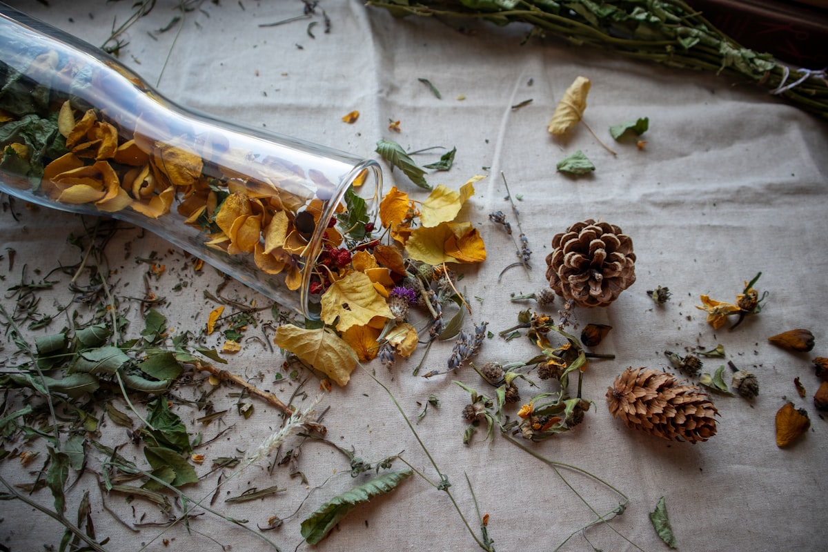Sammlung verschiedener aromatischer Kräuter